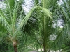 dsc00283