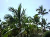 dsc00291