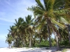 dsc00306
