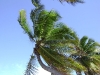 dsc00318
