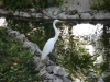 dsc00340