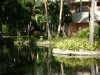 dsc00346