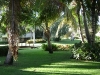 dsc00347