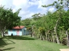 dsc00560