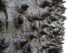 dsc00660