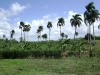 dsc00663
