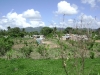 dsc00673