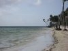dsc00724
