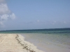 dsc00727