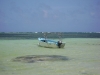 dsc00740