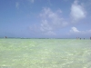 dsc00821
